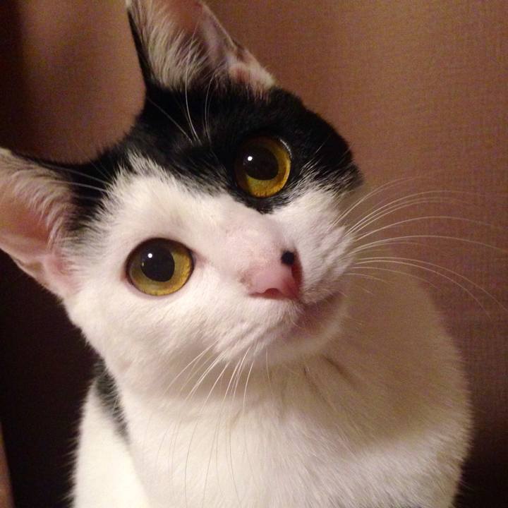 9ed572d7 6288 4ae5 baf3 60170ccf51d2