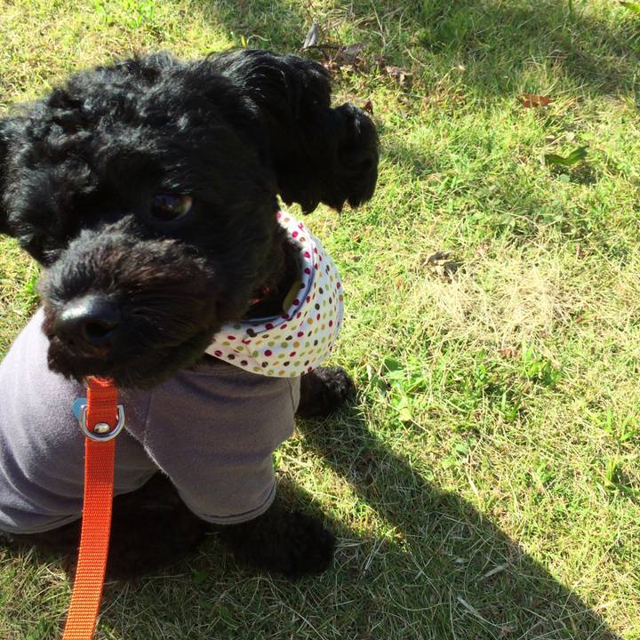 9ed58bd7 2f9a 4db2 8b33 288a301f39c1