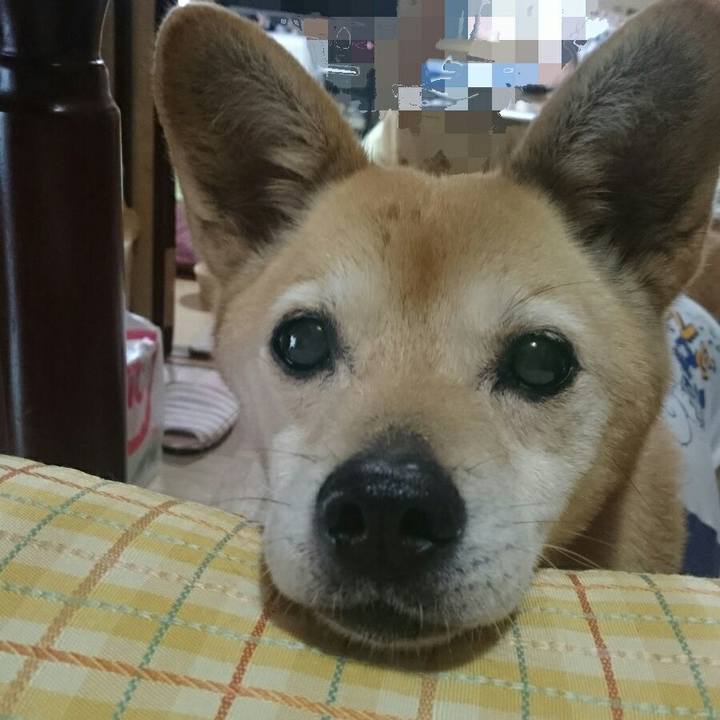 9ed5d21d 7ee4 4857 9aca f6d779f70c43