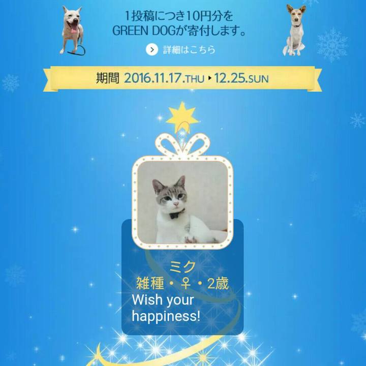 9ed5eb3e 5151 4b37 ad3e 72037a588b3e