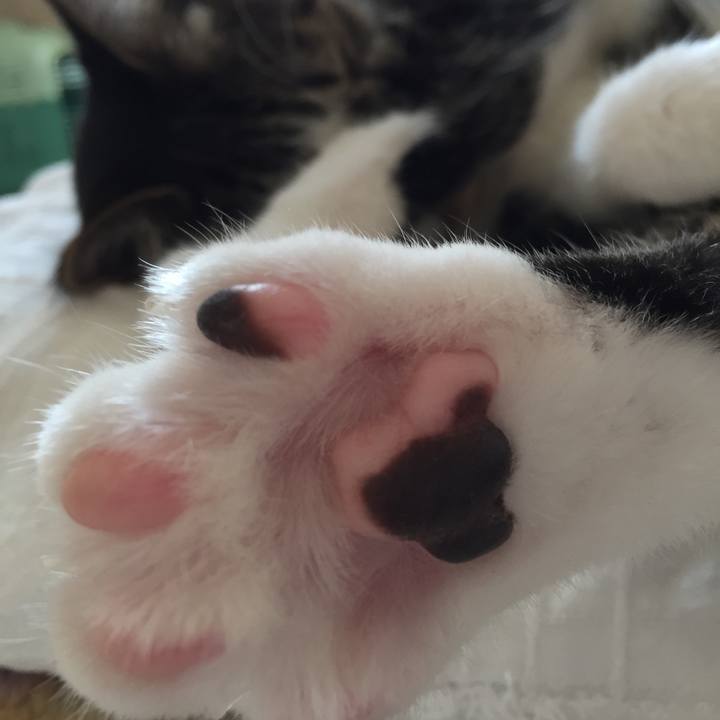 9ed62a83 10e1 43dc 9c11 dabf40674fe9