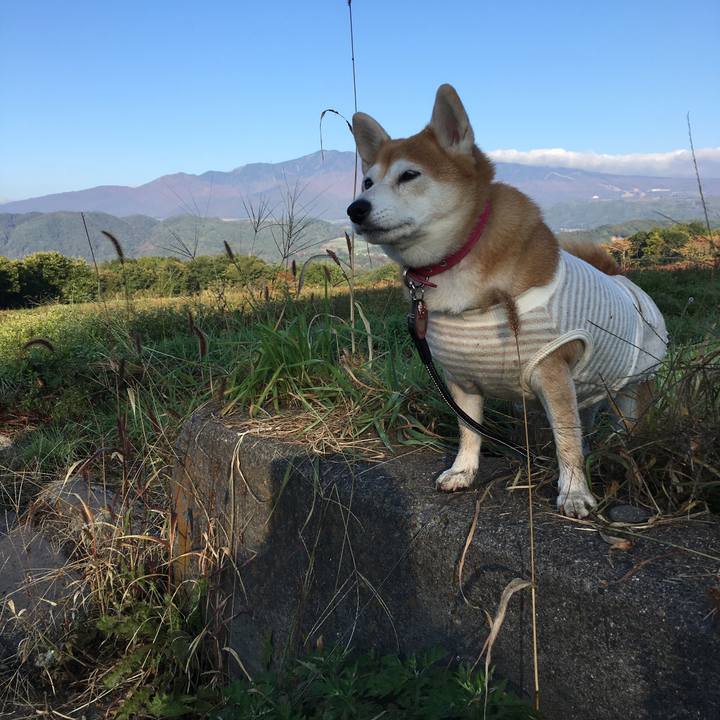 9ed65553 a1c1 4110 a093 e23195f84f69