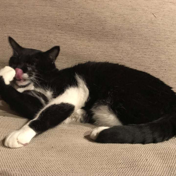 9ed72790 b26b 443d 8134 929c82c92483