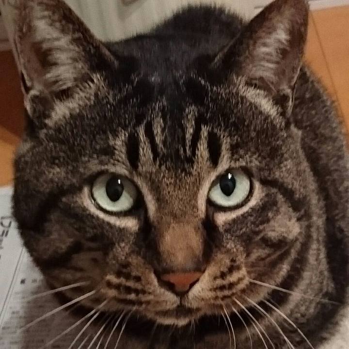 9ed779d4 df8a 40c0 8e47 f3a2cecd46f7