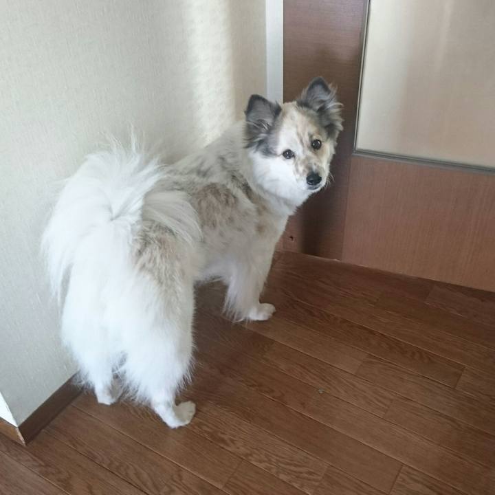 9ed7fc94 e093 4880 86d9 136ed785c41b