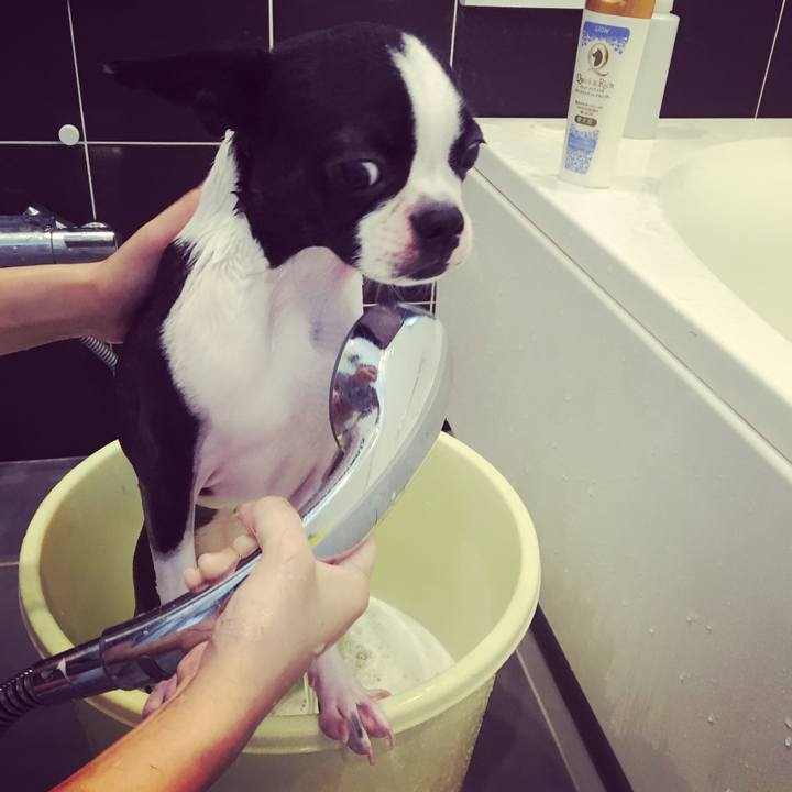 9ed8121a a004 4062 8f1d 2f183b142a73