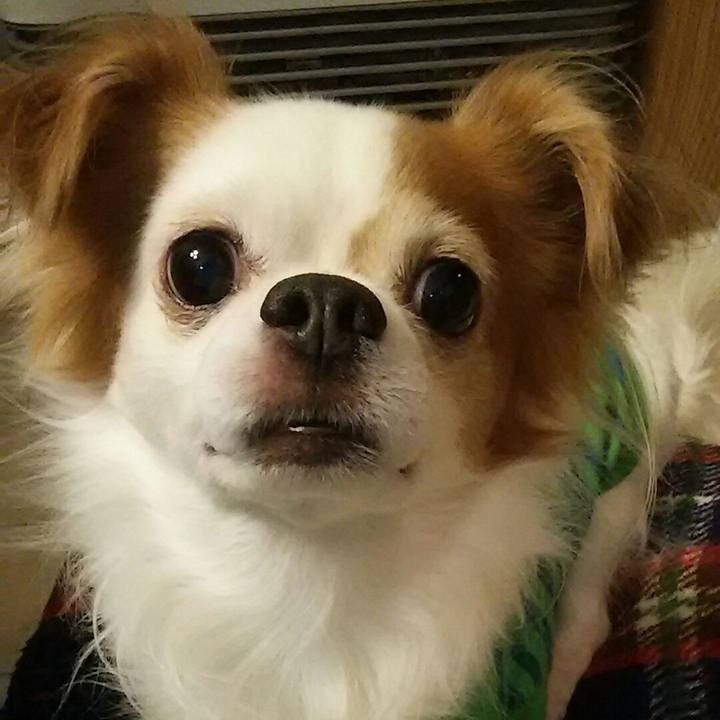 9ed820cc c759 4e5d 9d8c 5c264f12e938