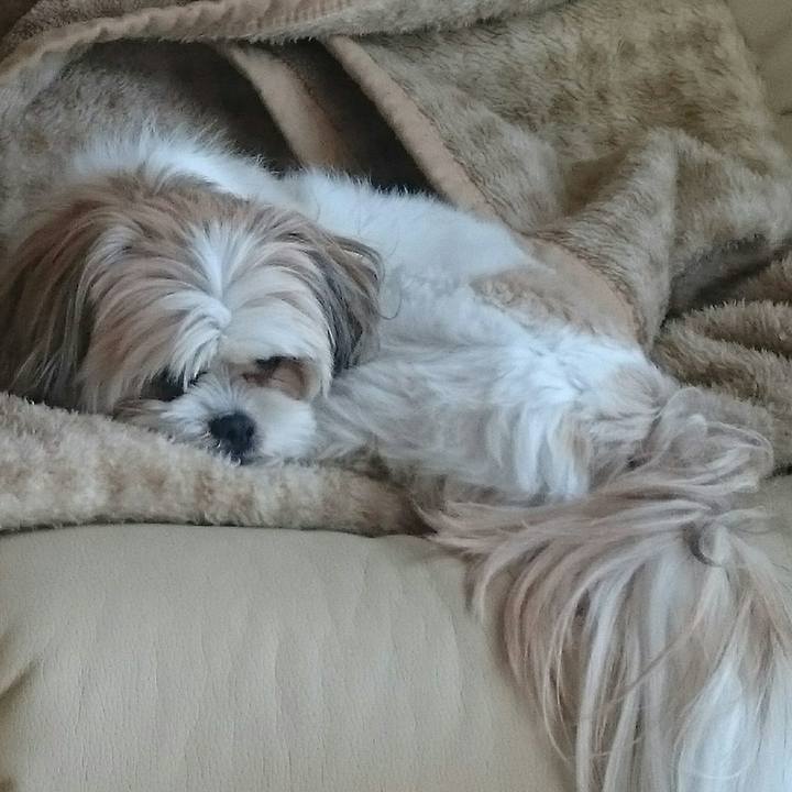 9ed8cfc7 eed7 4d25 9d15 04781bc1f4de