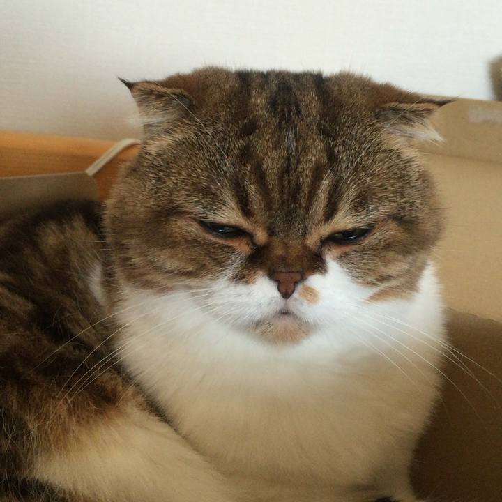 9ed9585c 9fb4 4c32 a071 63e8ef93df01