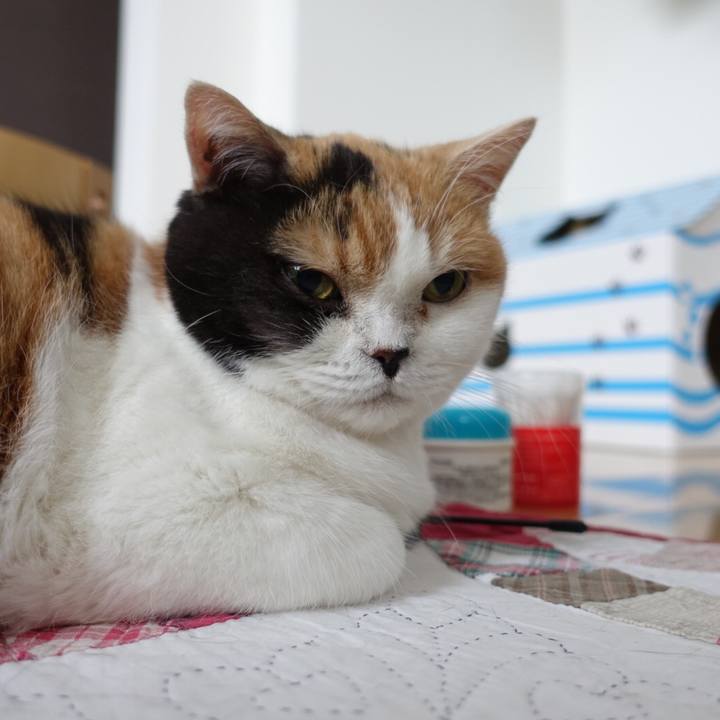 9ed9da39 c602 486e 93c2 776b82af6111