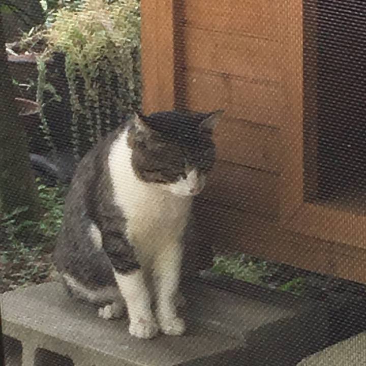 9eda63b6 02d5 41a5 ae10 8ddfd8cbea8d