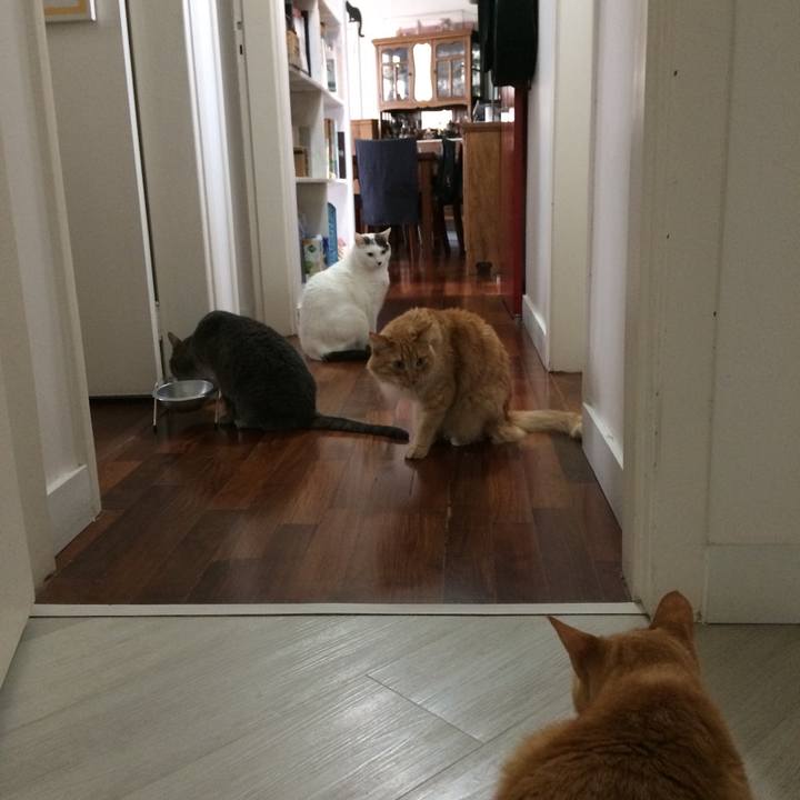 9edae193 7a64 435e 8b21 58dba2d15deb