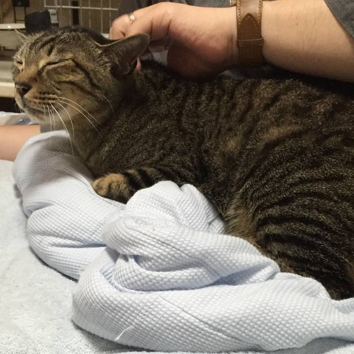 9edb4f28 7cac 4fe1 9f51 52ff669cb9c9