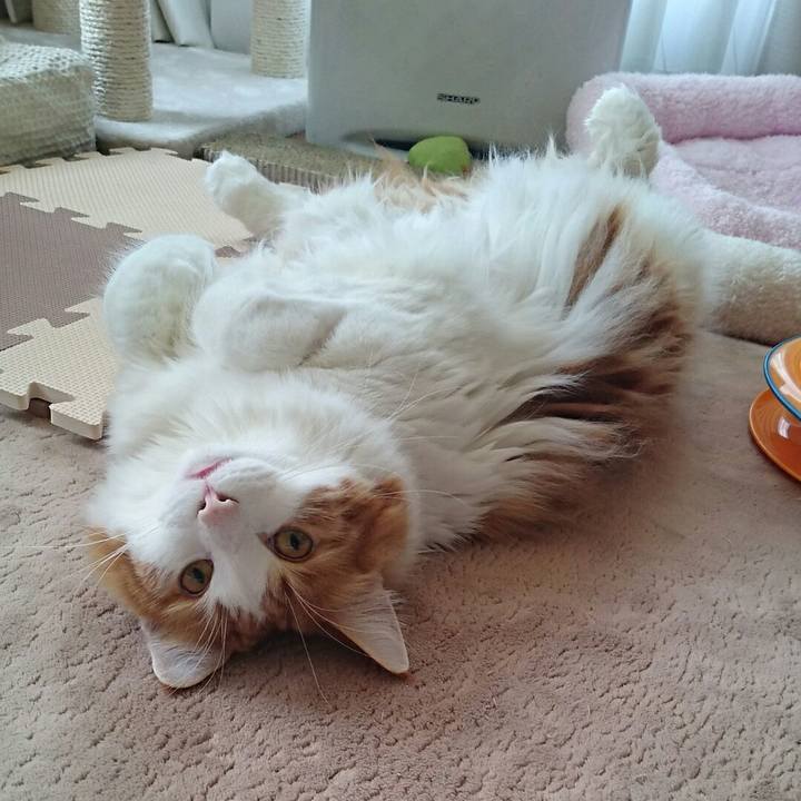 9edbfef1 c9ec 49ee 9e95 ea2a6a4ecd68