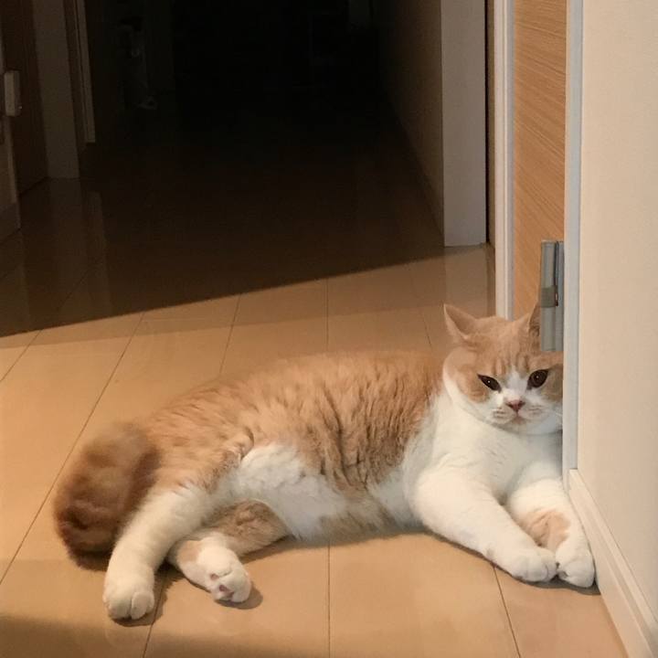 9edcadb5 f07e 4893 8d3b 3ef9149ce28e