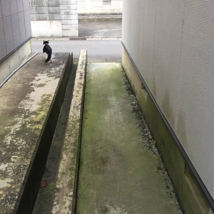 9edccbd9 559e 4941 8cfd 4107202221fa