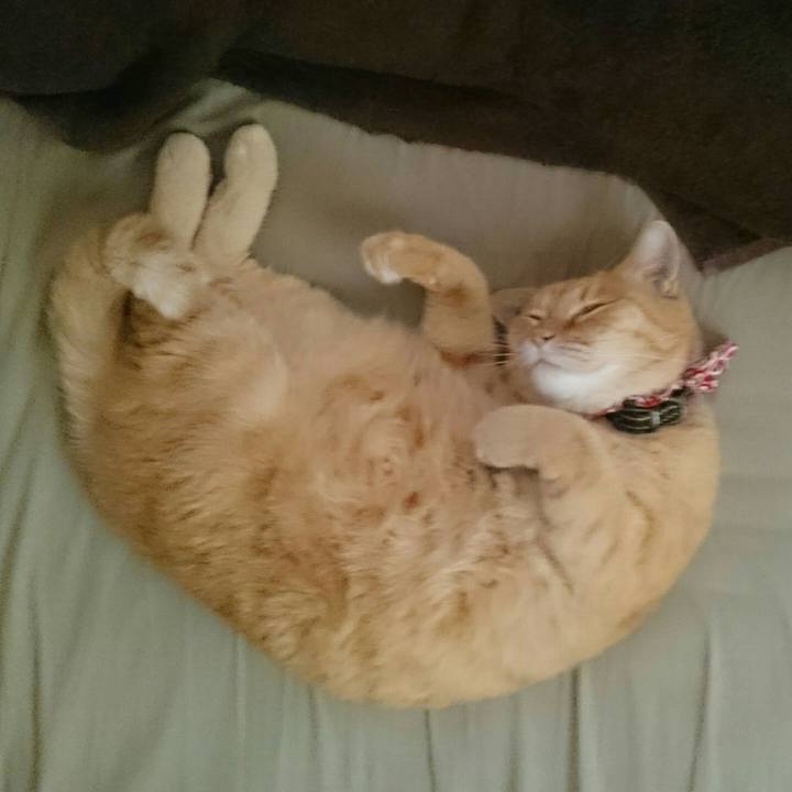 9edd45c0 c3ff 4e05 af9c c4faf486fd63