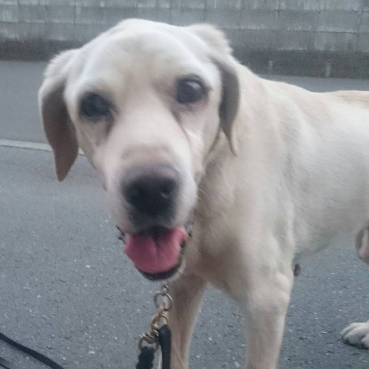 9eddcf97 ffc6 4121 bb69 a865371e295d