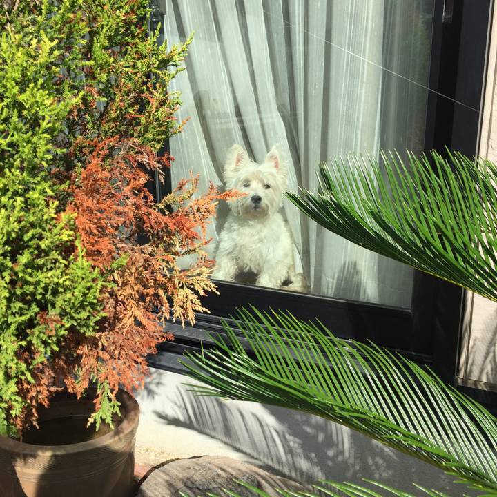 9ede0d8c 2ff1 4345 875e 67783f7fb78f