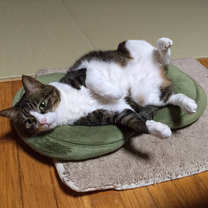 9ede328a e523 40f9 bbc9 e5f422ad2a50