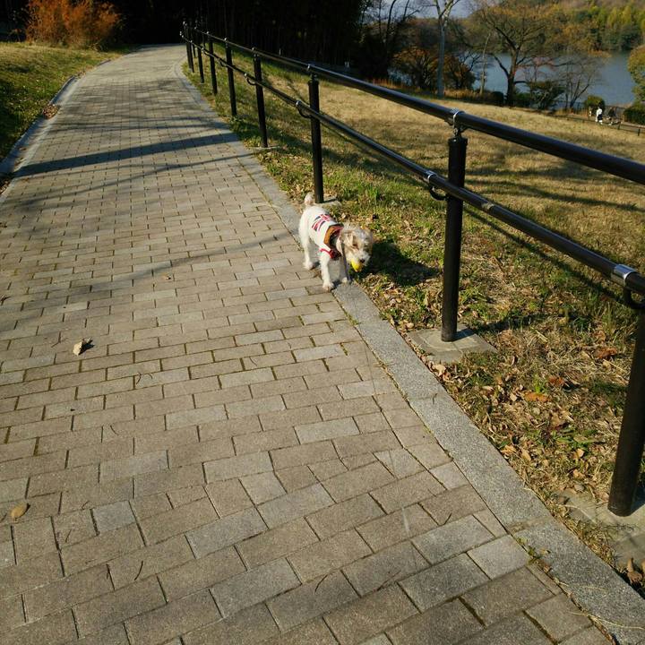 9edffb4b f7d1 4998 bb96 198b06074467