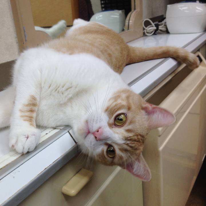 9ee0601e 9a94 4695 a733 be1dc87ac4da