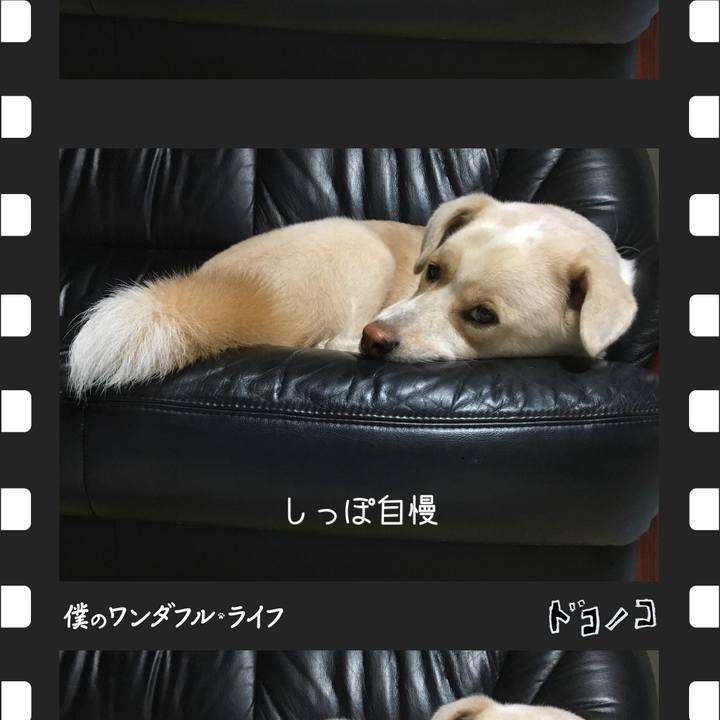 9ee14d5e 5221 42c8 b264 e2d1c50cf2e2