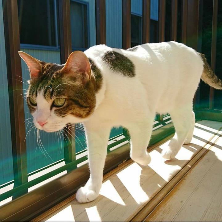 9ee1680e 3cc5 4fb3 9bf4 271b1144dc49