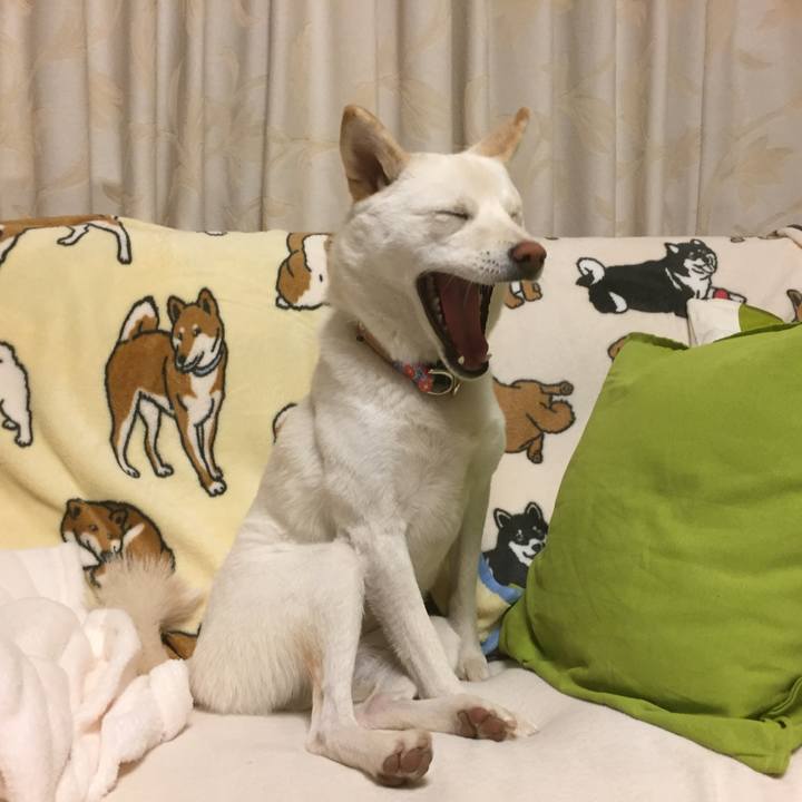 9ee1b432 c315 4cdb bb9c 037daa4d6708