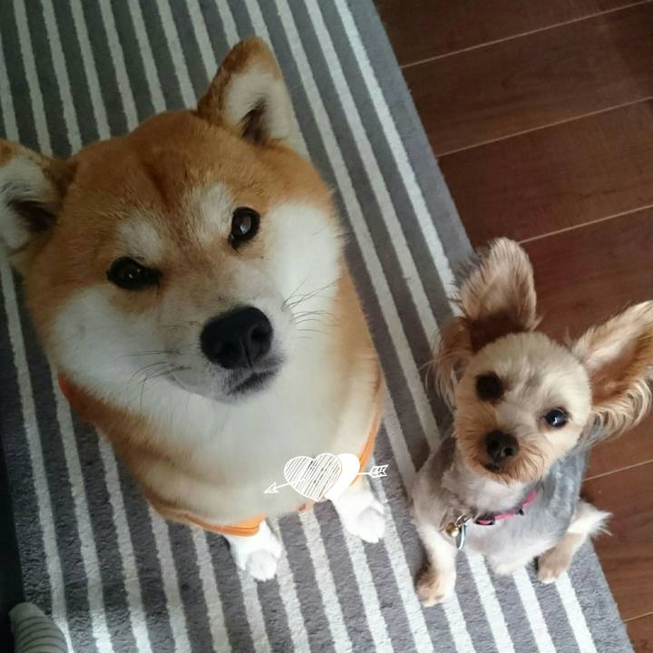 9ee1c3cf b10c 4bd0 b1fc 73449f835e0f