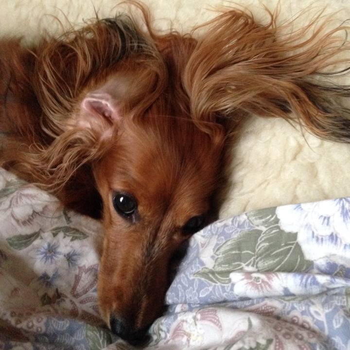 9ee1c536 3977 4bfc 9c23 6a5604aa1bbf