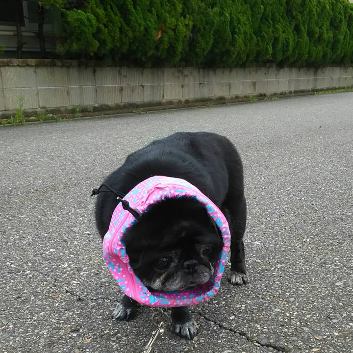 9ee21e6c ce84 4098 af00 246bd00a5b42