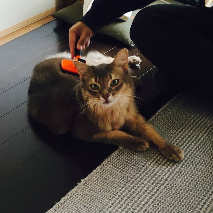 9ee273a3 9047 4205 bef2 9016fbfe8525