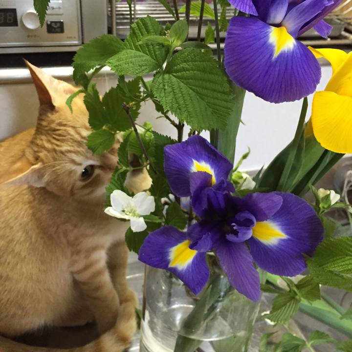 9ee2e45b e0b0 4ebd 9839 ac2fc4b572cb