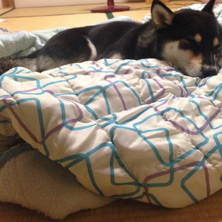 9ee39397 82ef 4fbc ae94 a9345a469393