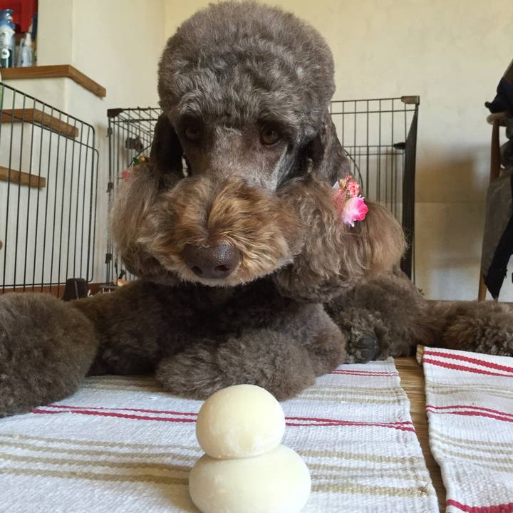 9ee3d429 c347 49ba 9275 eb0330f43a11