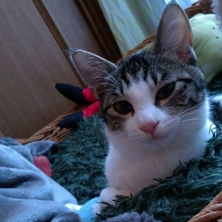 9ee3e728 c80c 4a3b b6c5 2804df2a992c