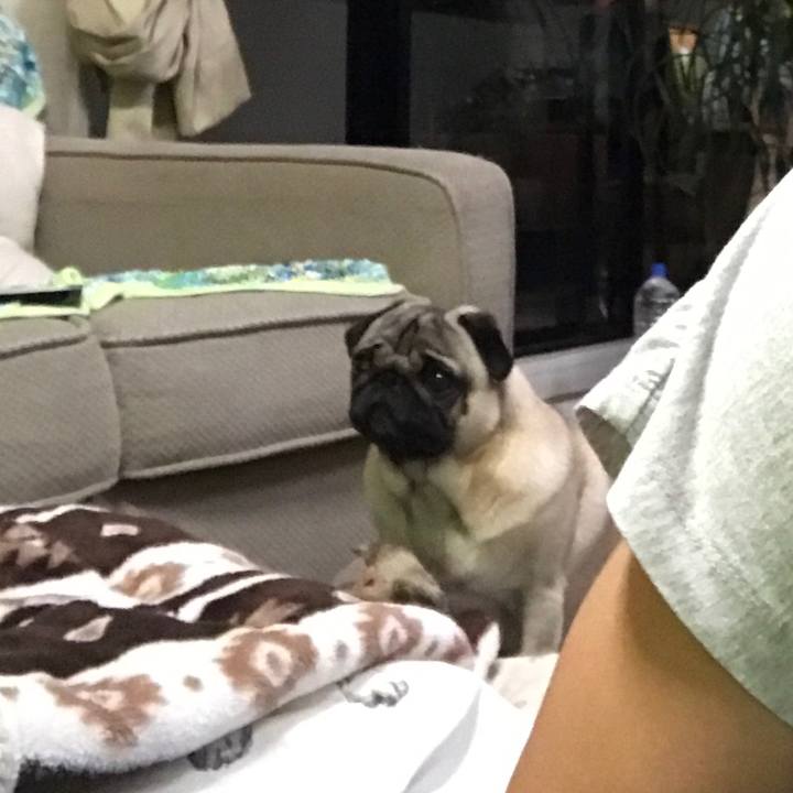 9ee40bc3 aa11 4d21 9da9 f130f1d4a83d