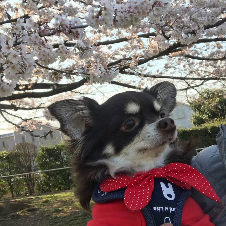 9ee42084 f4a8 47f6 8d6a a11a009de4e0