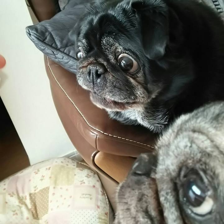 9ee42ccf dd1b 4c60 b88d c5c456b4e993