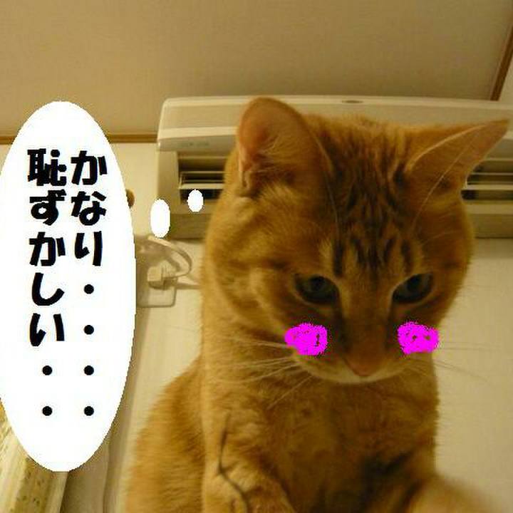 9ee47e4d bd52 4eff 8764 fe09c5add6ef