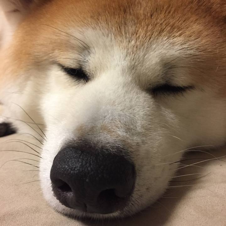 9ee48a86 5ac8 4b51 90f6 585709001e0e