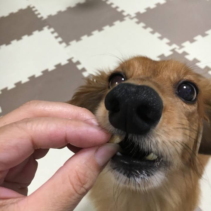 9ee4f20a d40b 4e60 8e1c 98dda4f9d563