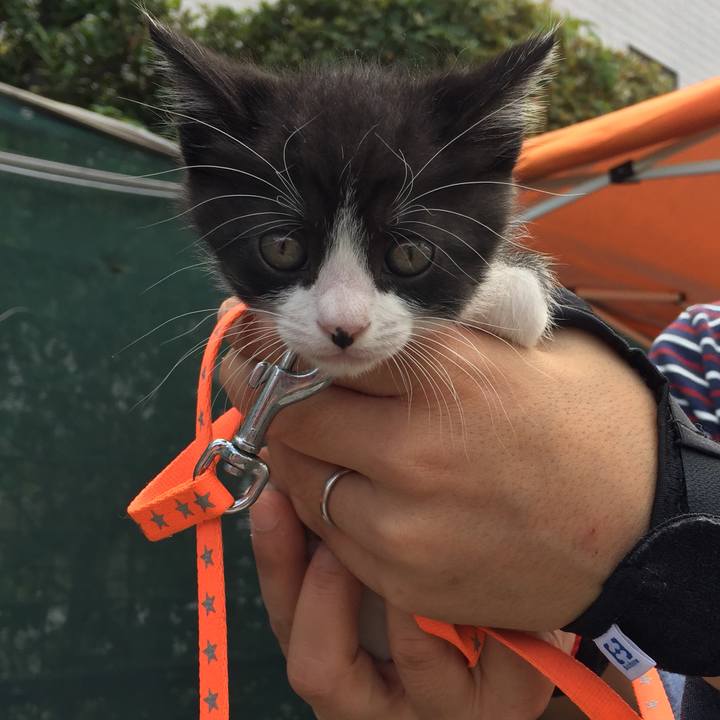 9ee53654 8041 4726 a89f e0e0816a7a80