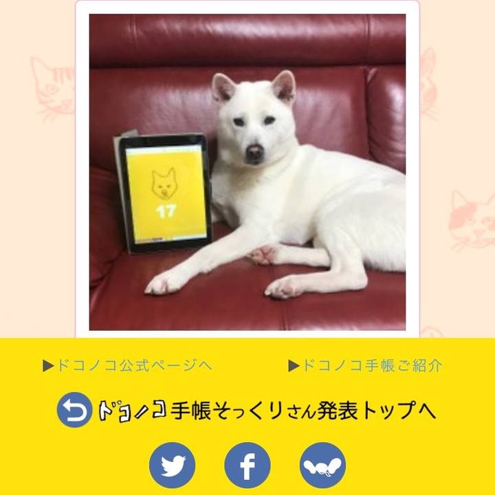 9ee563c8 bf3c 46dc 9893 bfcb643b1190