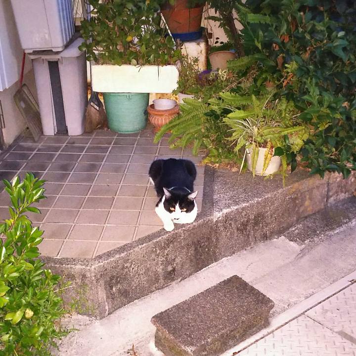 9ee76f14 afb5 4045 9358 6d72ef0c17ad