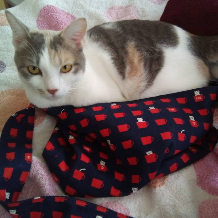 9ee8b0cc 7957 477a b171 ad221c8c8fa7