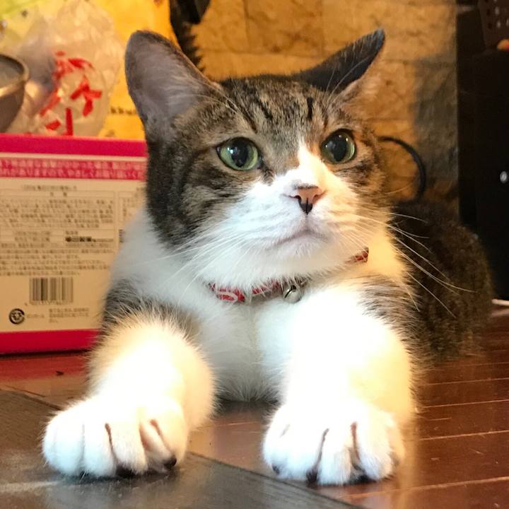 9ee943c2 27c4 4843 bdda e8769fd4342e