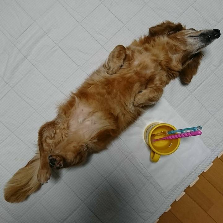 9ee9cc85 1914 4486 bab8 1709789790df