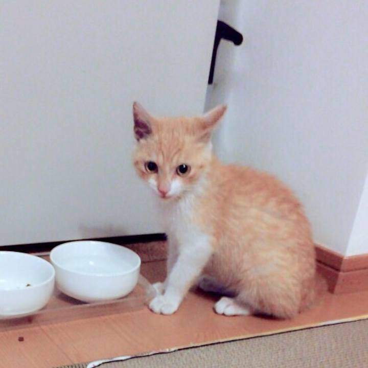 9eeb3e95 42e6 4ed7 be1e e7af047dcfd6